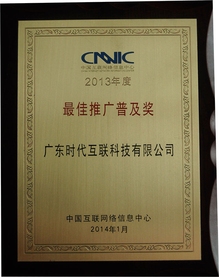 2013年度CNNIC“最佳推廣普及獎(jiǎng)”